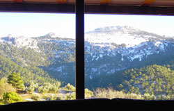 Vistas desde el salón