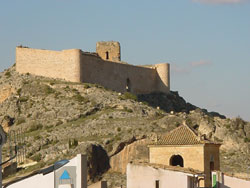 Castillo del S.XI 
