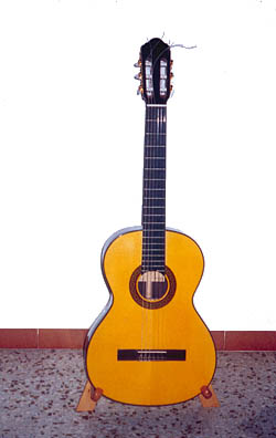 Guitarras de artesanía garantizadas 
