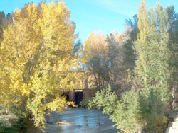 Río Júcar