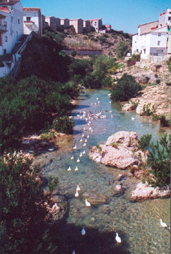 Río Sellent