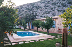 Piscina rodeada de naranjos 