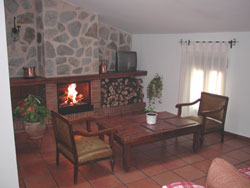 Chimenea y leña 