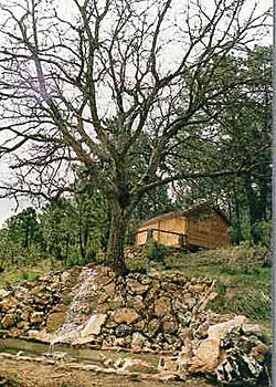 Cabañas El Lagunazo