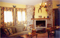 Chimenea de leña en el salón 