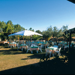 Vista del jardín