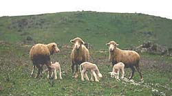 salonovino1.jpg