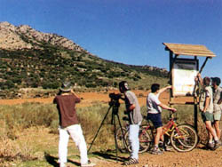 Safaris fotográficos por la comarca