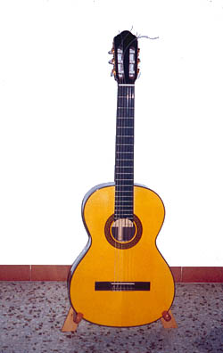 Guitarras de artesanía garantizadas