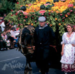 Bando de la Huerta. José L. Montero. Imagen cedida por www.murciaturistica.es