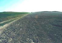Senda Galiana